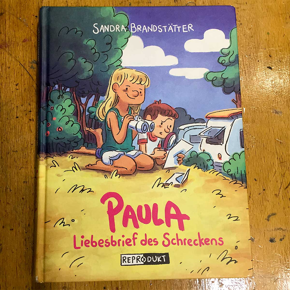 Sandra Brandstätter · Paula – Liebesbrief des Schreckens