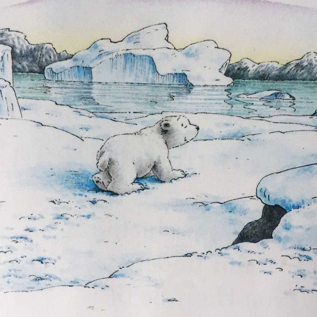 Marbacher Lesegesellschaft: Kleiner Eisbär